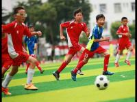 格鲁吉亚VS罗马尼亚直播_格鲁吉亚VS罗马尼亚免费高清在线直播_格鲁吉亚VS罗马尼亚免费直播视频直播